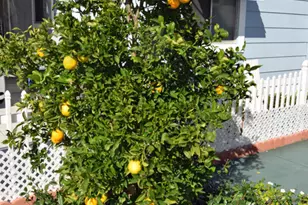 195 Tierra Rejada Road, Simi Valley, CA 93065 - Photo 21