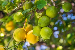 2756 N Dalenhurst Pl, Simi Valley, CA 93065 - Photo 31