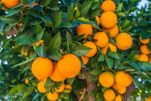 18049 Burbank Blvd, Encino, CA 91316 - Photo 37