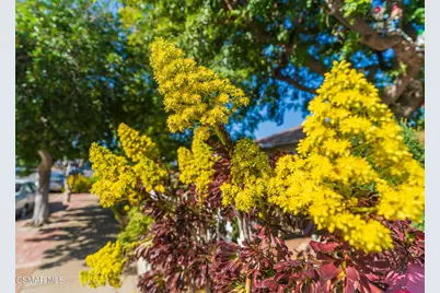 18049 Burbank Boulevard, Encino, CA 91316 - Photo 11