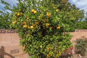 7840 Vicky Ave, West Hills, CA 91304 - Photo 15