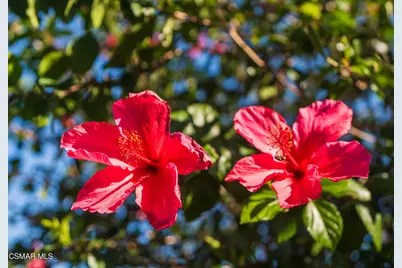 9299 Dorrington Place, Arleta, CA 91331 - Photo 33