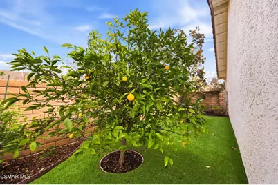 3883 Calle Buena Vista, Newbury Park, CA 91320 - Photo 35