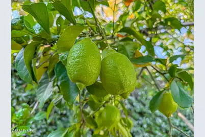 5419 Via Olas, Newbury Park, CA 91320 - Photo 57