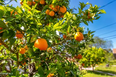 831 Calle Clavel, Thousand Oaks, CA 91360 - Photo 51