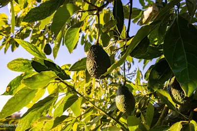 12072 Broadway Road, Moorpark, CA 93021 - Photo 5