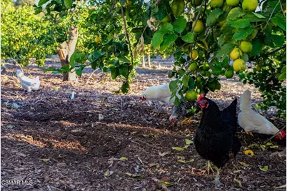 12072 Broadway Road, Moorpark, CA 93021 - Photo 25