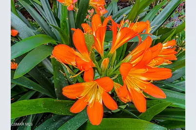 219 Ocho Rios Way, Oak Park, CA 91377 - Photo 63