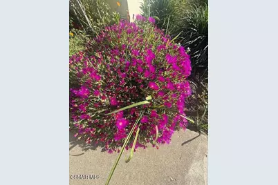 1341 Edgewood Way #23, Oxnard, CA 93030 - Photo 5