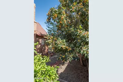 975 Loma Vista Place, Santa Paula, CA 93060 - Photo 41