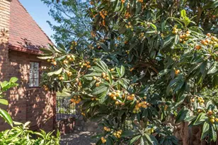 975 Loma Vista Pl, Santa Paula, CA 93060 - Photo 41