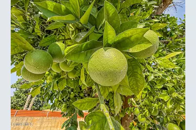 7530 Gaviota Avenue, Van Nuys, CA 91406 - Photo 45