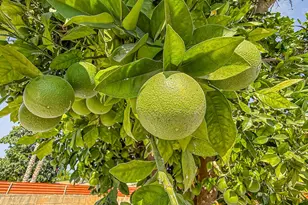 7530 Gaviota Ave, Van Nuys, CA 91406 - Photo 45