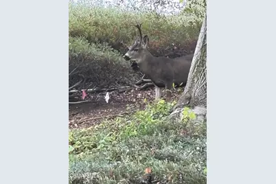 780 Covewood Street, Oak Park, CA 91377 - Photo 31