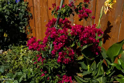 3061 Michael Drive, Newbury Park, CA 91320 - Photo 55