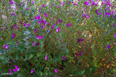 4655 Via Grande, Newbury Park, CA 91320 - Photo 33