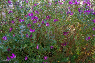 4655 Via Grande, Newbury Park, CA 91320 - Photo 33