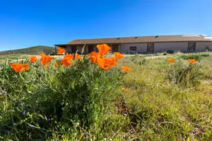 44132 Munz Ranch Rd, Lake Hughes, CA 93532 - Photo 5