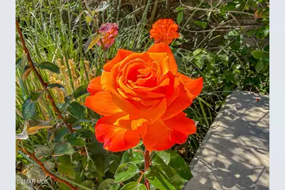 388 Via Cresta, Newbury Park, CA 91320 - Photo 57