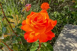 388 Via Cresta, Newbury Park, CA 91320 - Photo 57