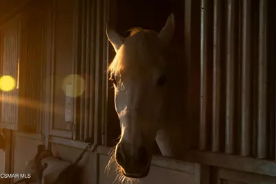 1451 E La Loma Avenue, Somis, CA 93066 - Photo 85