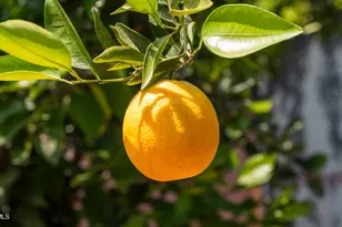 7933 Teesdale Ave, North Hollywood, CA 91605 - Photo 35