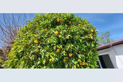 22 Van Dyke Street, Thousand Oaks, CA 91360 - Photo 27