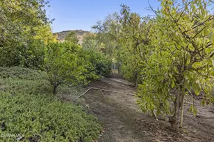 4988 Read Rd, Thousand Oaks, CA 93021 - Photo 67