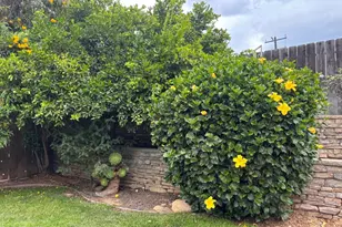 144 Valley Ridge St, Ojai, CA 93023 - Photo 29