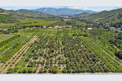 5682 Pine Grove Road, Santa Paula, CA 93060 - Photo 29