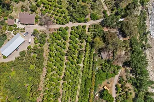 5682 Pine Grove Rd, Santa Paula, CA 93060 - Photo 7
