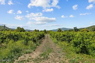 5682 Pine Grove Rd, Santa Paula, CA 93060 - Photo 19