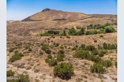  Big Springs Road Road, Agua Dulce, CA 91350 - Photo 3