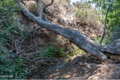  Big Springs Road Road, Agua Dulce, CA 91350 - Photo 21