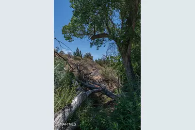  Big Springs Road Road, Agua Dulce, CA 91350 - Photo 29
