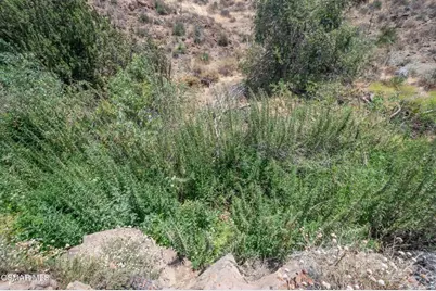  Big Springs Road Road, Agua Dulce, CA 91350 - Photo 15