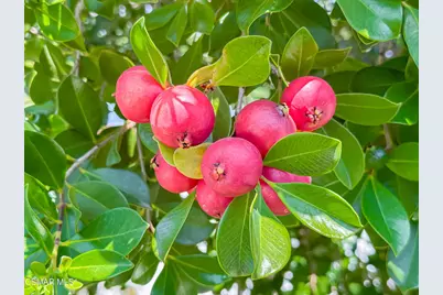 360 N Greenmeadow Avenue, Newbury Park, CA 91320 - Photo 47