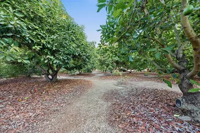 280 Cummings Road, Santa Paula, CA 93060 - Photo 43