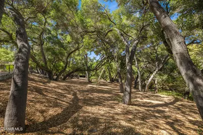 25820 Piuma Road, Calabasas, CA 91302 - Photo 55