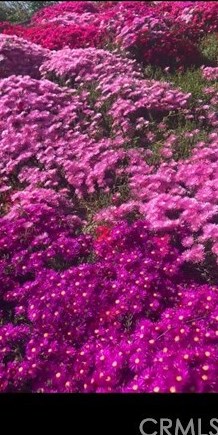 8555 Pigeon Pass Rd, Moreno Valley CA  92557-0203 exterior