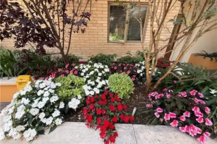 137 S Wilson Ave, Pasadena, CA 91106 - Photo 27