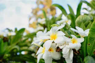 9711 Garibaldi Ave, Temple City, CA 91780 - Photo 23