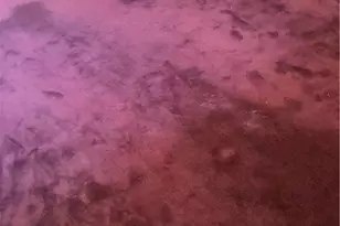 792 Portola, Los Angeles, CA 90042 - Photo 9