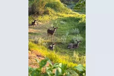3076 Turnbull Canyon, Hacienda Heights, CA 91745 - Photo 53