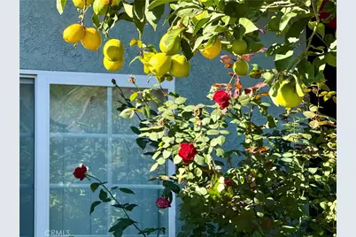 3931 3933 Drysdale, Los Angeles, CA 90032 - Photo 13