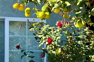 3931 3933 Drysdale, Los Angeles, CA 90032 - Photo 13