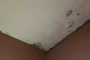 10703 Paradise Ct, Kelseyville, CA 95451 - Photo 9