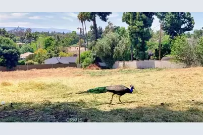 20528 E Rancho Los Cerritos, Covina, CA 91724 - Photo 3