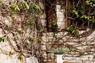 507 S Norton Ave, Los Angeles, CA 90020 - Photo 53