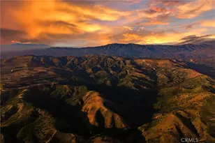 117 Petunia, Irvine, CA 92618 - Photo 73